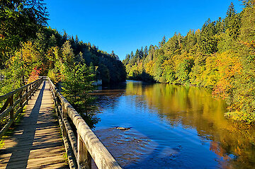 Bayerischer Wald